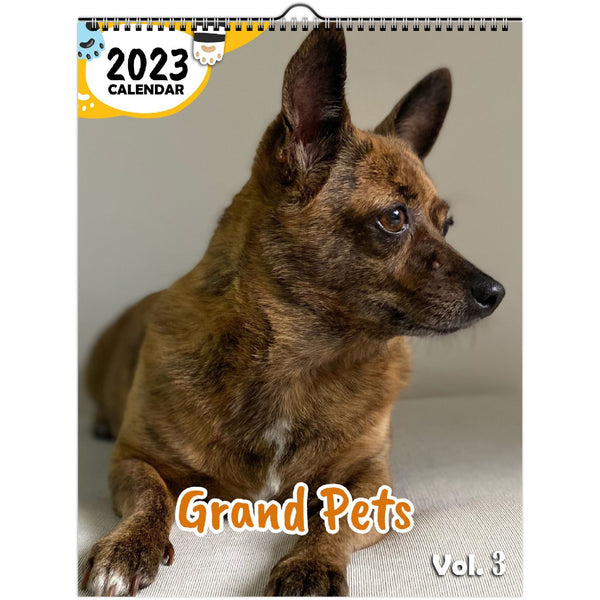 Grand Pets Volume Three: 2023 Wall Calendar