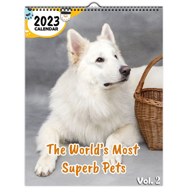 The World's Most Superb Pets Volume Two: 2023 Wall Calendar