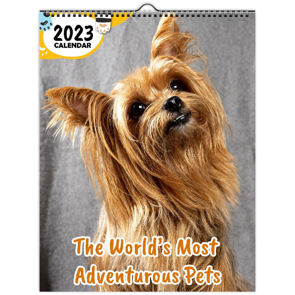 The World's Most Adventurous Pets: 2023 Wall Calendar