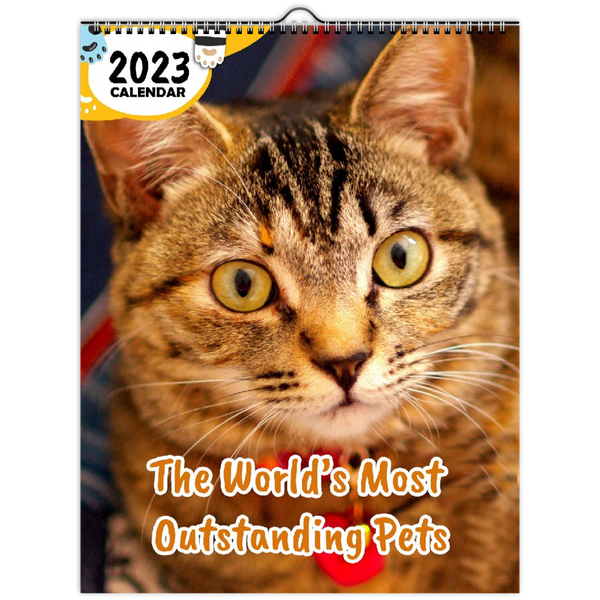 The World's Most Outstanding Pets: 2023 Wall Calendar