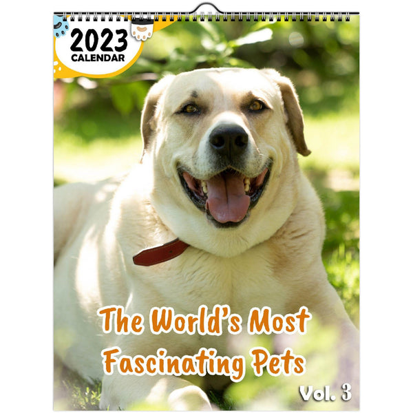 The World's Most Fascinating Pets Volume Three: 2023 Wall Calendar
