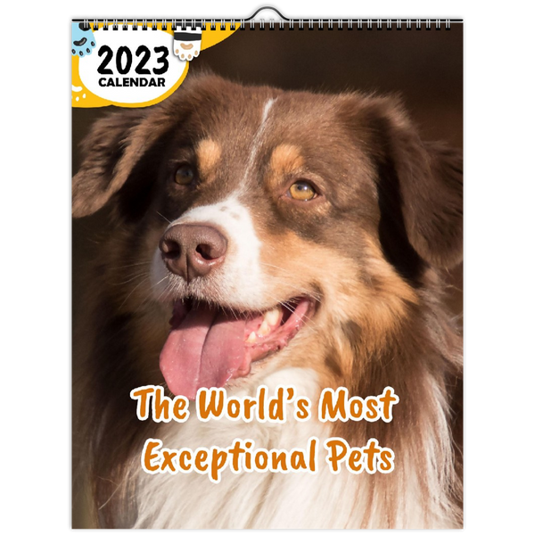 The World's Most Exceptional Pets: 2023 Wall Calendar