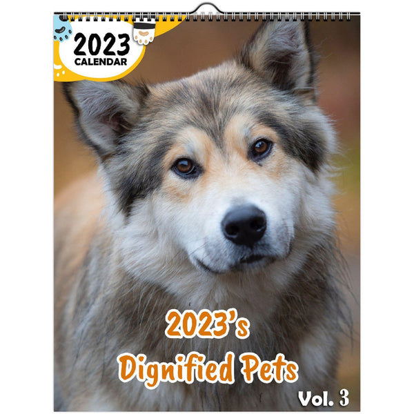 2023's Dignified Pets Volume Three: 2023 Wall Calendar