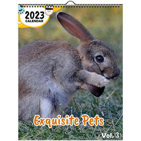 Exquisite Pets Volume Three: 2023 Wall Calendar