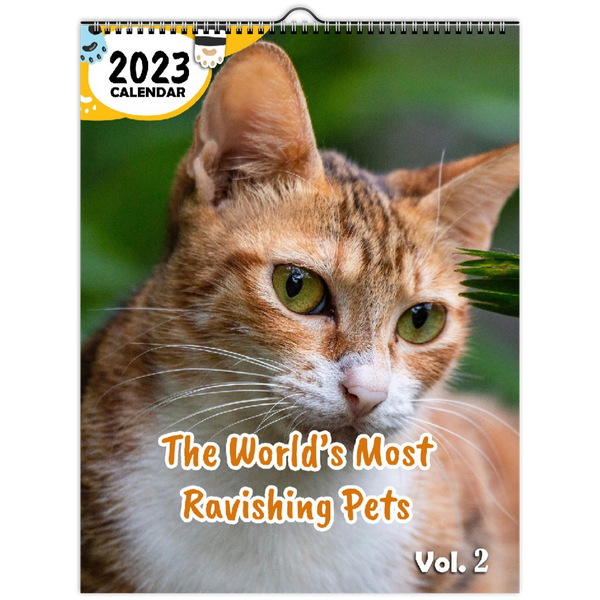 The World's Most Ravishing Pets Volume Two: 2023 Wall Calendar