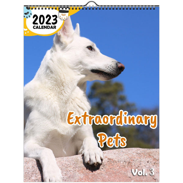 Extraordinary Pets Volume Three: 2023 Wall Calendar