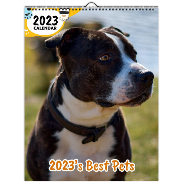 2023's Best Pets: 2023 Wall Calendar