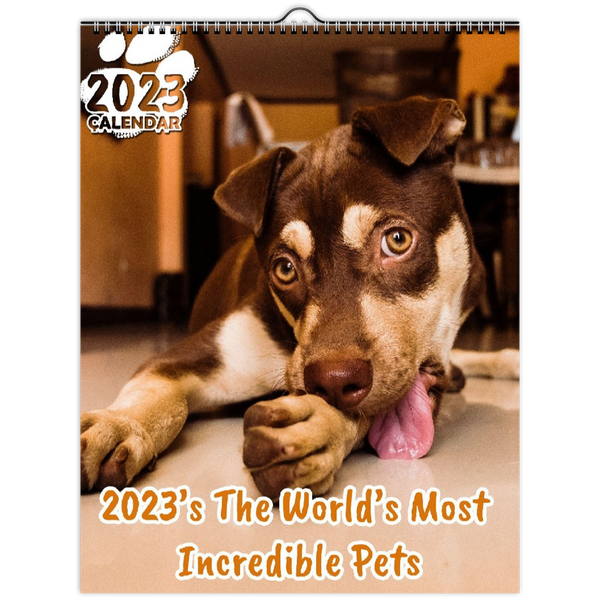 2023's The World's Most Incredible Pets: 2023 Wall Calendar