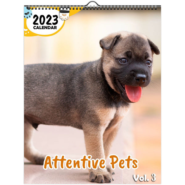 Attentive Pets Volume Three: 2023 Wall Calendar