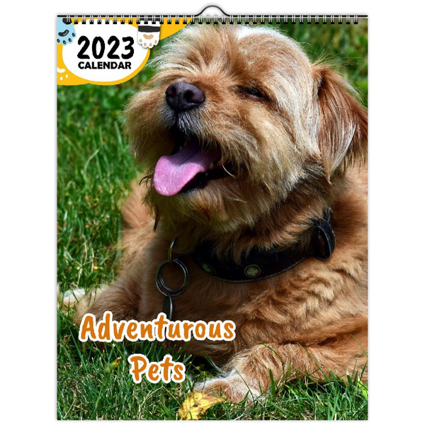 Adventurous Pets: 2023 Wall Calendar