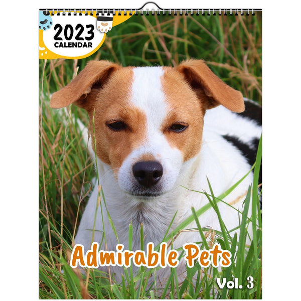 Admirable Pets Volume Three: 2023 Wall Calendar