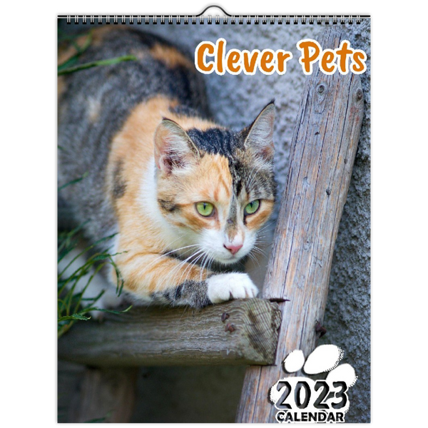 Clever Pets: 2023 Wall Calendar