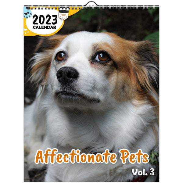 Affectionate Pets Volume Three: 2023 Wall Calendar