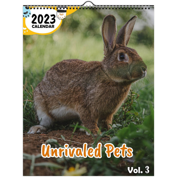 Unrivaled Pets Volume Three: 2023 Wall Calendar