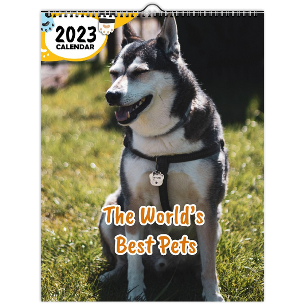 The World's Best Pets: 2023 Wall Calendar