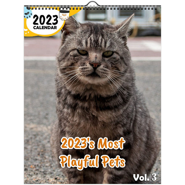 2023's Most Playful Pets Volume Three: 2023 Wall Calendar