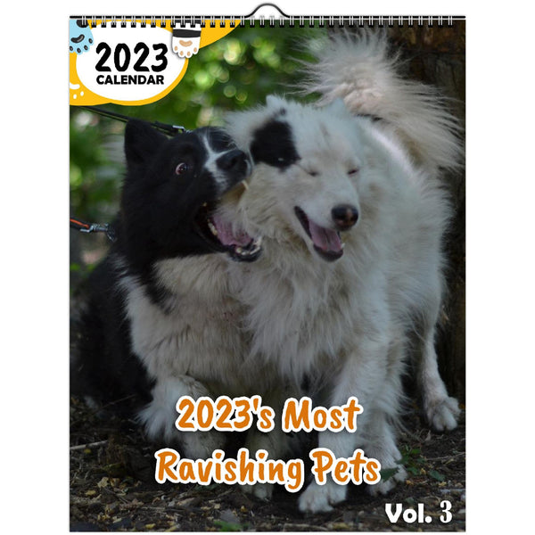2023's Most Ravishing Pets Volume Three: 2023 Wall Calendar
