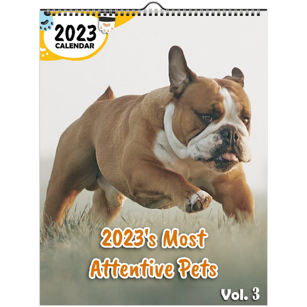2023's Most Attentive Pets Volume Three: 2023 Wall Calendar