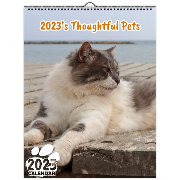 2023's Thoughtful Pets: 2023 Wall Calendar