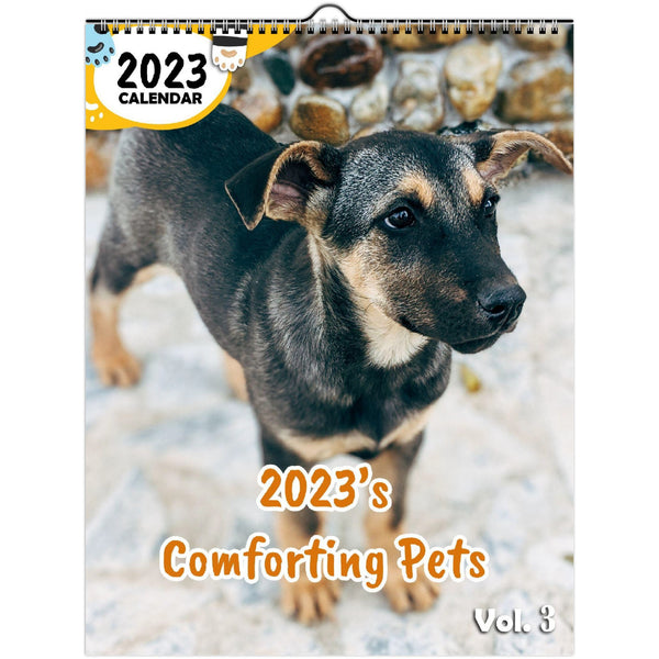 2023's Comforting Pets Volume Three: 2023 Wall Calendar