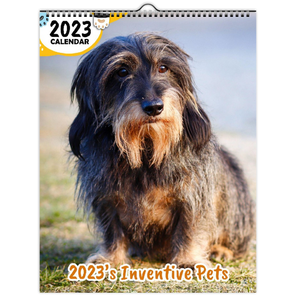 2023's Inventive Pets: 2023 Wall Calendar