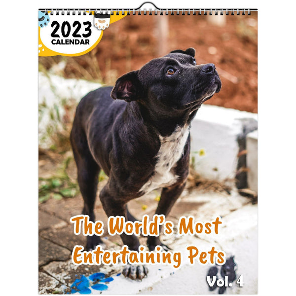 The World's Most Entertaining Pets Volume Four: 2023 Wall Calendar