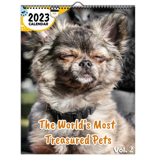 The World's Most Treasured Pets Volume Two: 2023 Wall Calendar