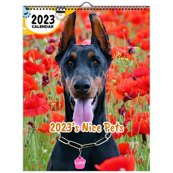 2023's Nice Pets: 2023 Wall Calendar