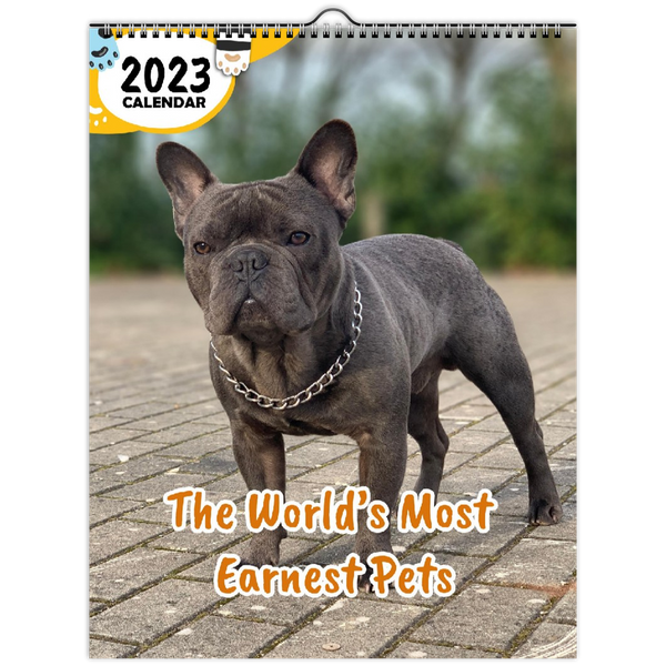 The World's Most Earnest Pets: 2023 Wall Calendar