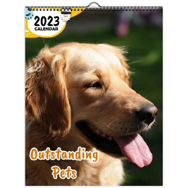 Outstanding Pets: 2023 Wall Calendar