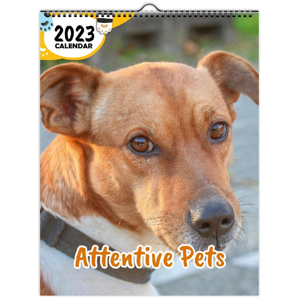 Attentive Pets: 2023 Wall Calendar