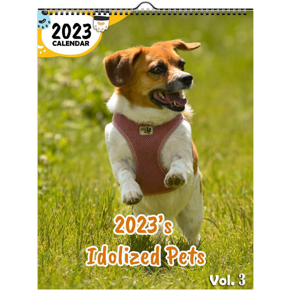 2023's Idolized Pets Volume Three: 2023 Wall Calendar