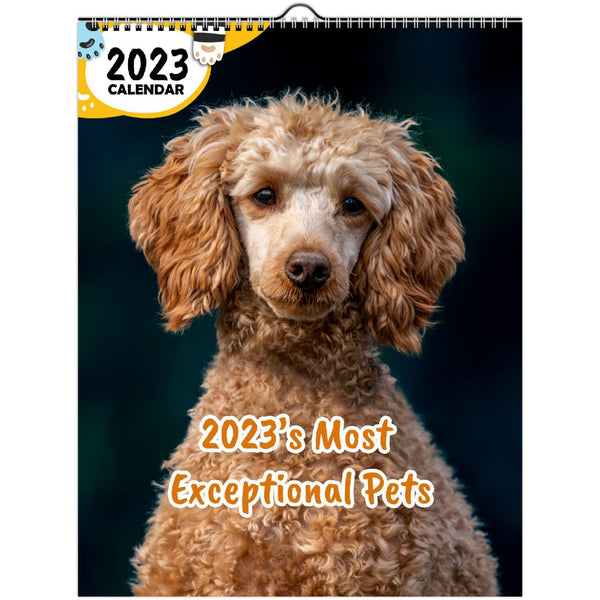 2023's Most Exceptional Pets: 2023 Wall Calendar