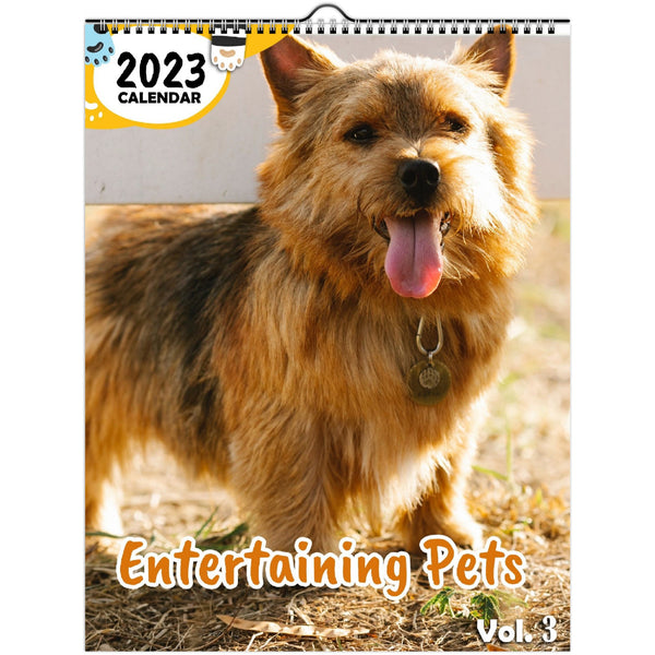 Entertaining Pets Volume Three: 2023 Wall Calendar