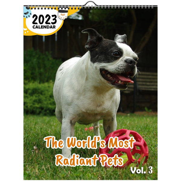 The World's Most Radiant Pets Volume Three: 2023 Wall Calendar
