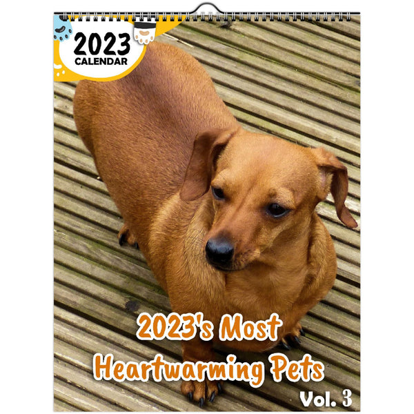 2023's Most Heartwarming Pets Volume Three: 2023 Wall Calendar