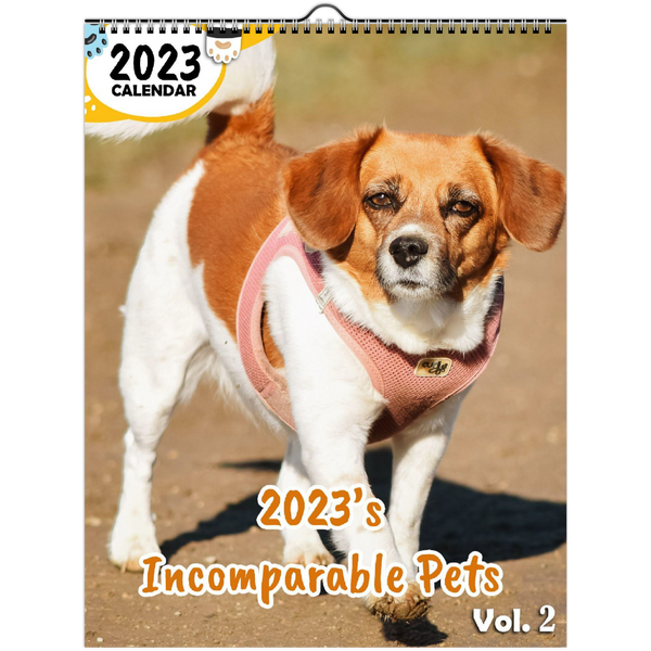 2023's Incomparable Pets Volume Two: 2023 Wall Calendar