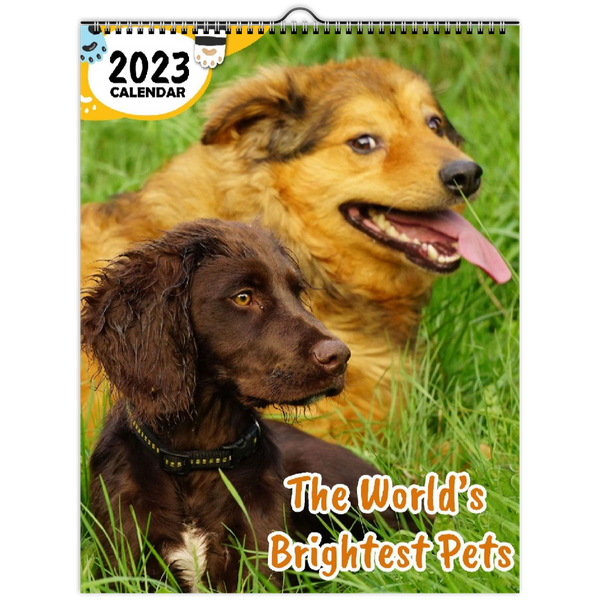 The World's Brightest Pets: 2023 Wall Calendar