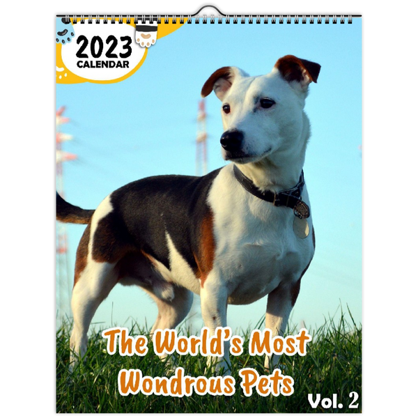 The World's Most Wondrous Pets Volume Two: 2023 Wall Calendar
