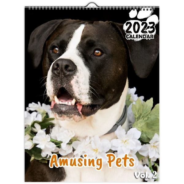 Amusing Pets Volume Two: 2023 Wall Calendar