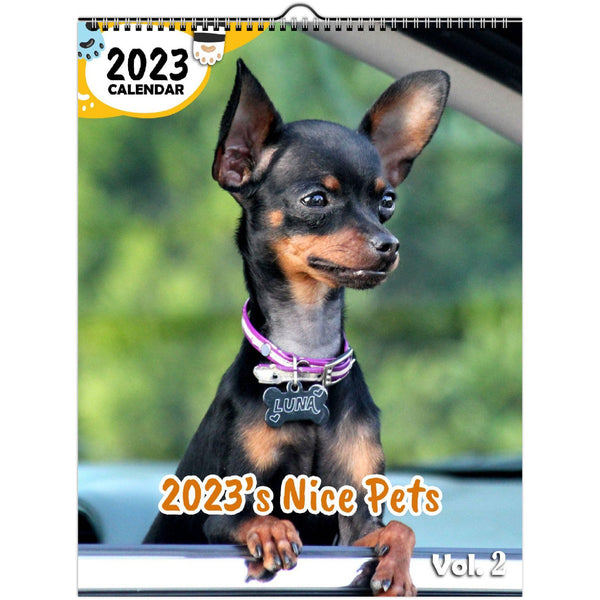 2023's Nice Pets Volume Two: 2023 Wall Calendar