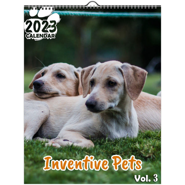 Inventive Pets Volume Three: 2023 Wall Calendar