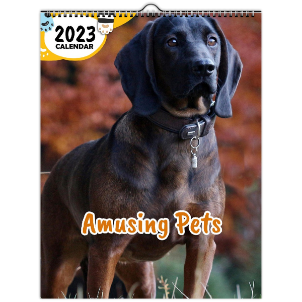 Amusing Pets: 2023 Wall Calendar