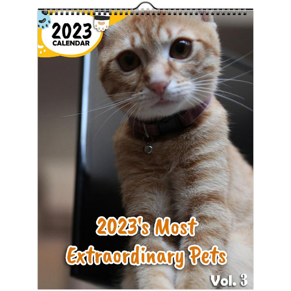 2023's Most Extraordinary Pets Volume Three: 2023 Wall Calendar