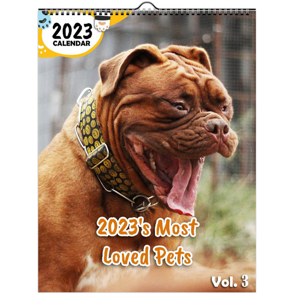 2023's Most Loved Pets Volume Three: 2023 Wall Calendar