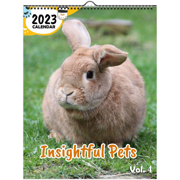 Insightful Pets Volume Four: 2023 Wall Calendar