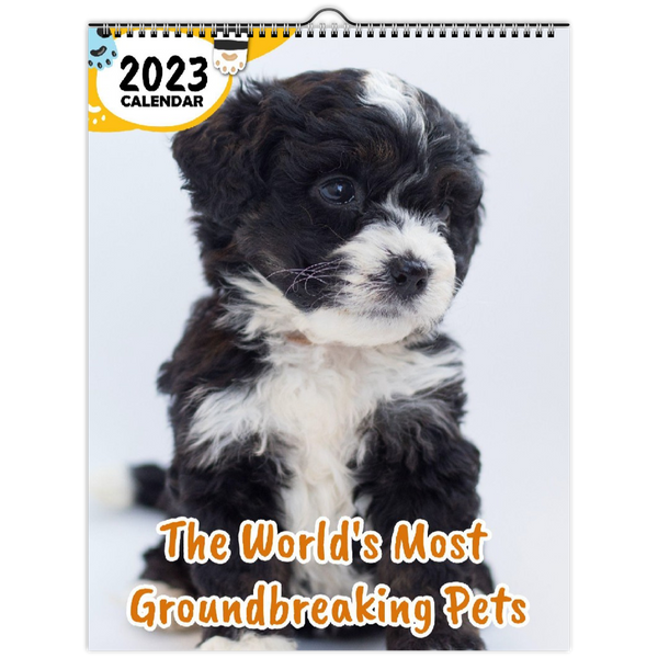 The World's Most Groundbreaking Pets: 2023 Wall Calendar