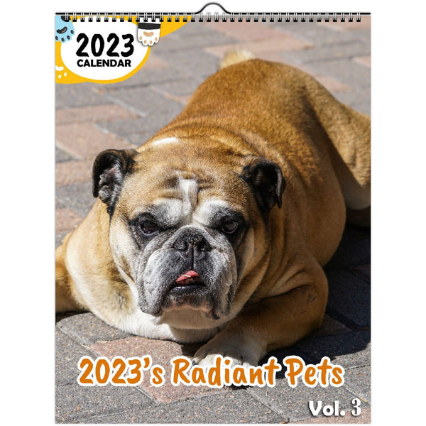 2023's Radiant Pets Volume Three: 2023 Wall Calendar