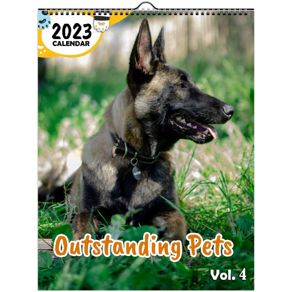 Outstanding Pets Volume Four: 2023 Wall Calendar