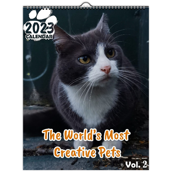 The World's Most Creative Pets Volume Two: 2023 Wall Calendar